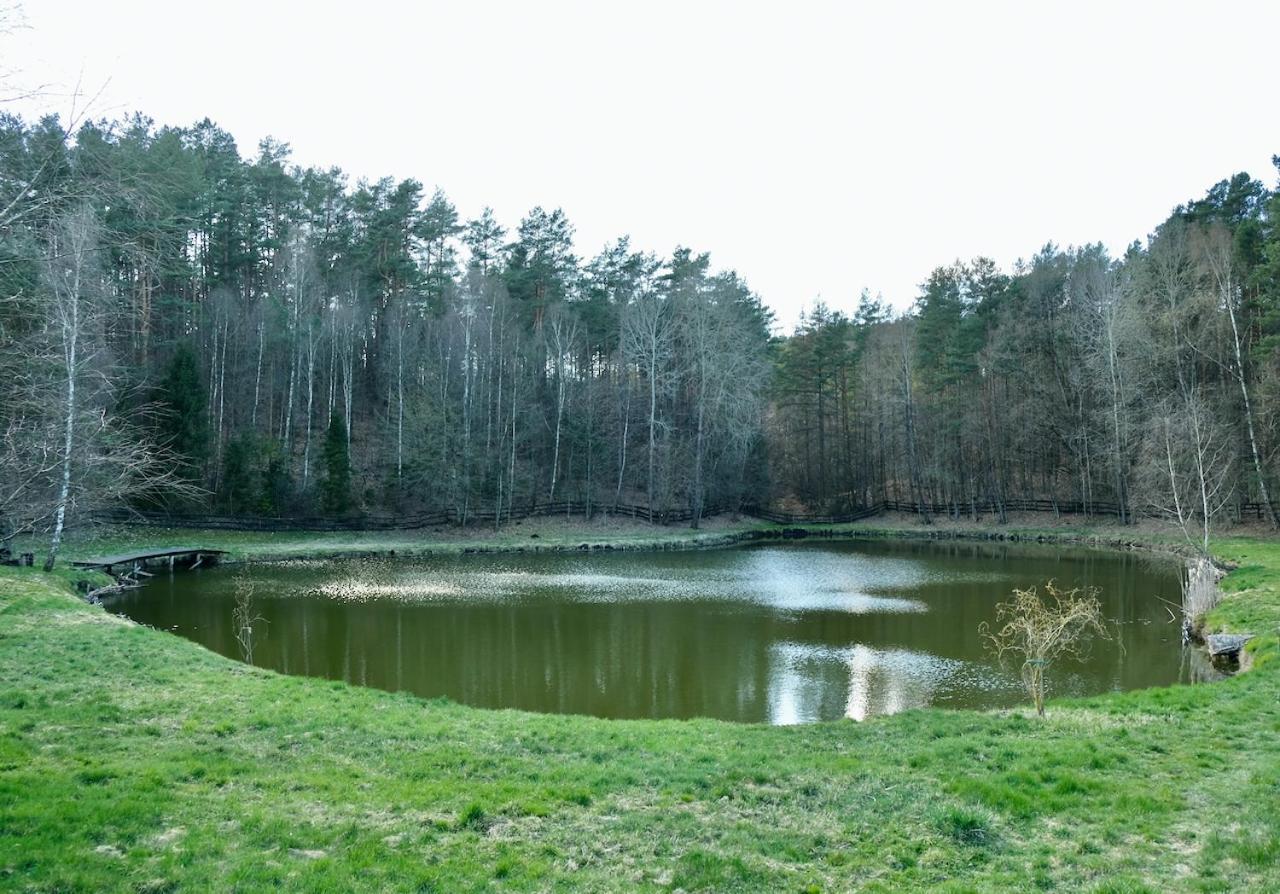 Agroturystyka Strzebielino エクステリア 写真